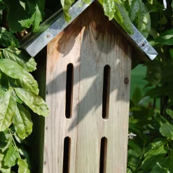 Abri pour papillons