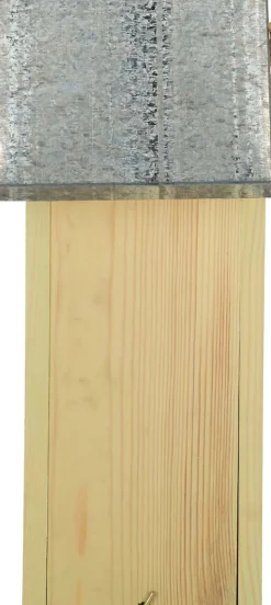 Abri pour papillons