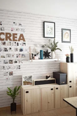 Armoire en pin brut 1 porte 2 tablettes Dinamic