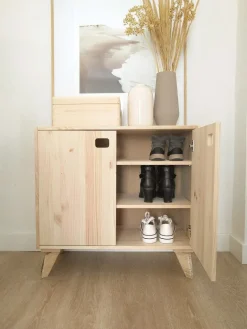 Armoire en pin brut 1 porte 2 tablettes Dinamic