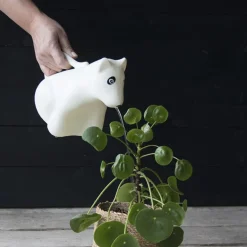 Arrosoir animal en plastique (Chien)