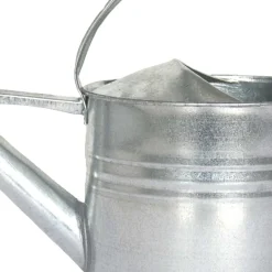 Arrosoir en zinc avec pomme d'arrosage amovible 8 litres