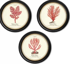Assortiment de 3 cadres Corail