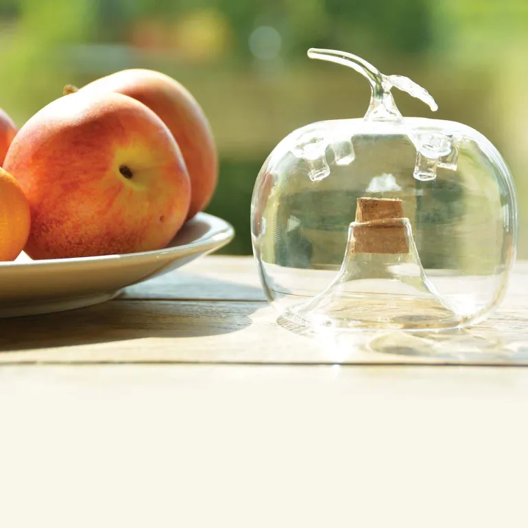 Attrape mouches en forme de pomme