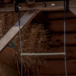 Balançoire pour poules en plastique recyclé