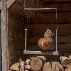 Balançoire pour poules en plastique recyclé
