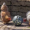 Balle à friandises pour poules 15 cm