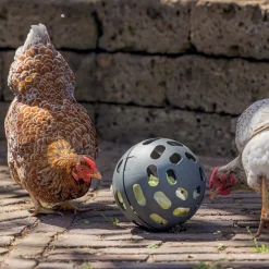 Balle à friandises pour poules 15 cm