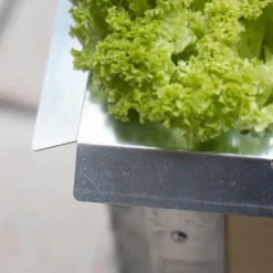 Barrière à escargot pour carré potager Gardenbox