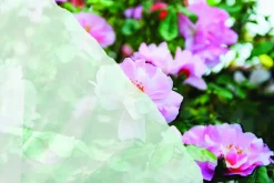 Bâche de protection respirante pour plantes
