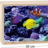 Boite lumineuse LED 30x20 cm (Aquarium)