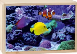 Boite lumineuse LED 30x20 cm (Aquarium)