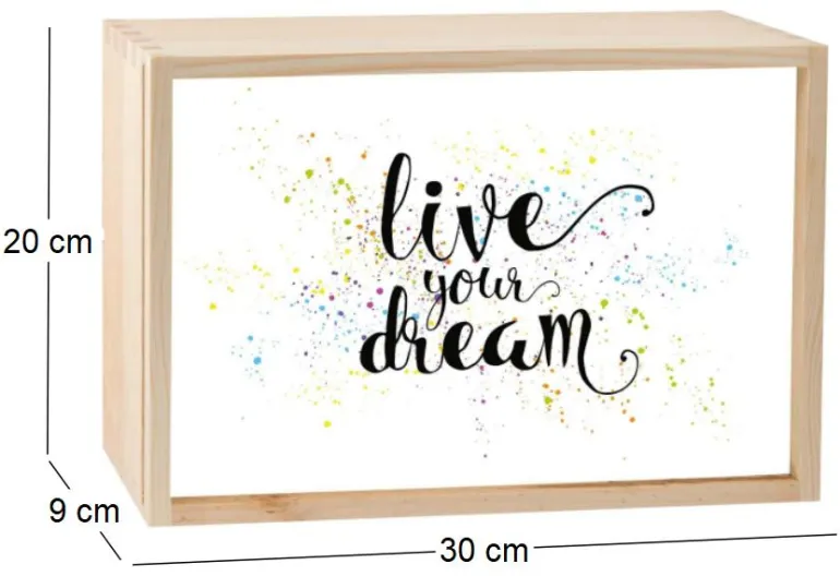 Boite lumineuse LED 30x20 cm (Live your dream)