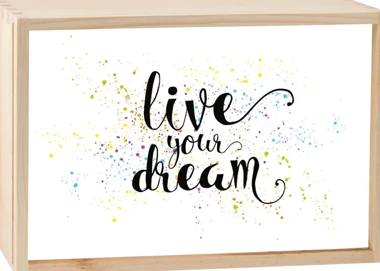 Boite lumineuse LED 30x20 cm (Live your dream)