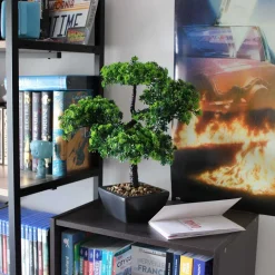 Bonsaï artificiel en pot 37 cm modèle aléatoire