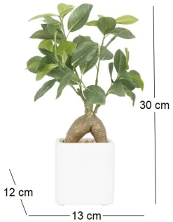 Bonsai ficus elastica pot en céramique 28 cm