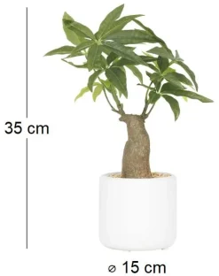 Bonsai pachira pot en céramique 33 cm