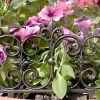 Bordure de jardin en fonte Valentine (Unitaire)
