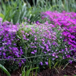 Bordure de jardin en métal Lawn 3m (Lot de 6)