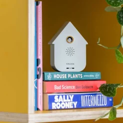 Boîte à son Modern Cuckoo (Blanc)