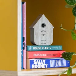 Boîte à son Modern Cuckoo (Bois blanchi)