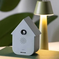 Boîte à son Modern Cuckoo (Gris souris)