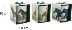 Bougie en pot Safari 8 x 10 cm (Lot de 3)