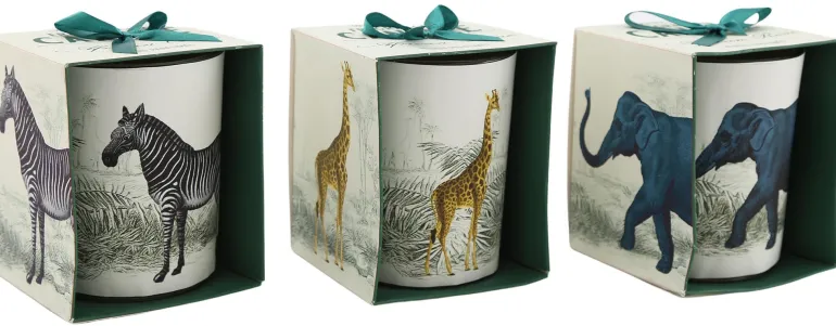 Bougie en pot Safari 8 x 10 cm (Lot de 3)