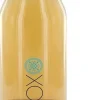 Bouteille détox avec infuseur de thé intégré 500 ml (Vert)