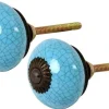 Bouton de porte rond effet craquelé bleu (Lot de 2)