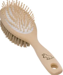 Brosse chien en soies claires et tiges de bois