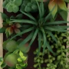 Cadre mural avec plante succulente artificielle 20 x 30 cm