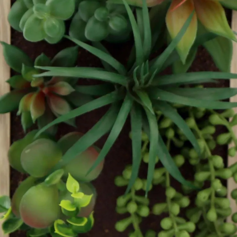 Cadre mural avec plante succulente artificielle 20 x 30 cm