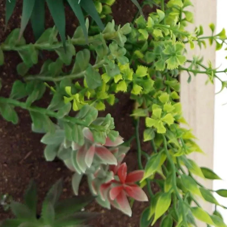 Cadre mural avec plante succulente artificielle 20 x 30 cm