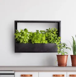 Cadre mural en fer pour plantes Garden (58 x 18 x 40 cm)