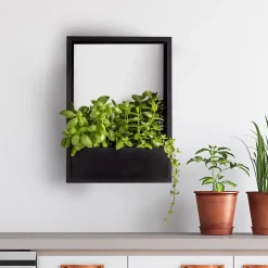 Cadre mural en fer pour plantes Garden (36 x 18 x 50 cm)