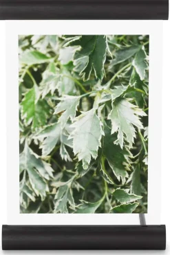 Cadre photo en bois 13 x 18 cm Scroll (Noir)