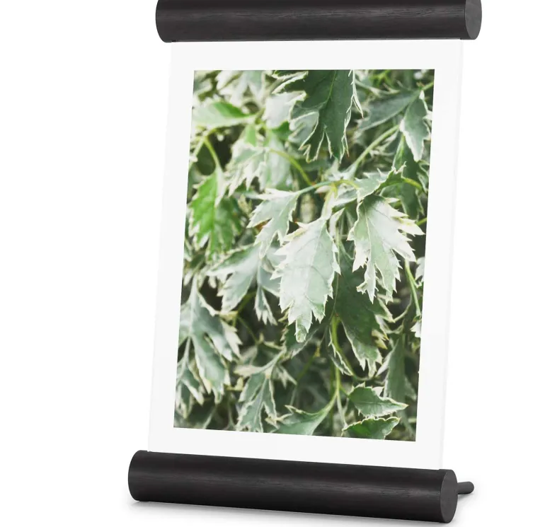 Cadre photo en bois 13 x 18 cm Scroll (Noir)