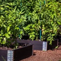 Carré potager Gardenbox 120 x 80 cm (Noir)