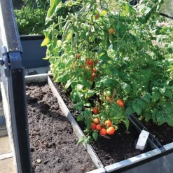 Carré potager premium avec serre Basic air