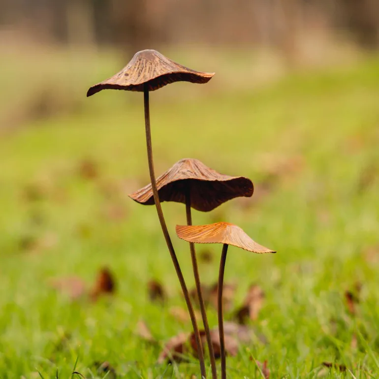 Champignon sur pic en métal rouillé (Modèle S)