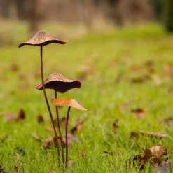 Champignon sur pic en métal rouillé (Modèle S)