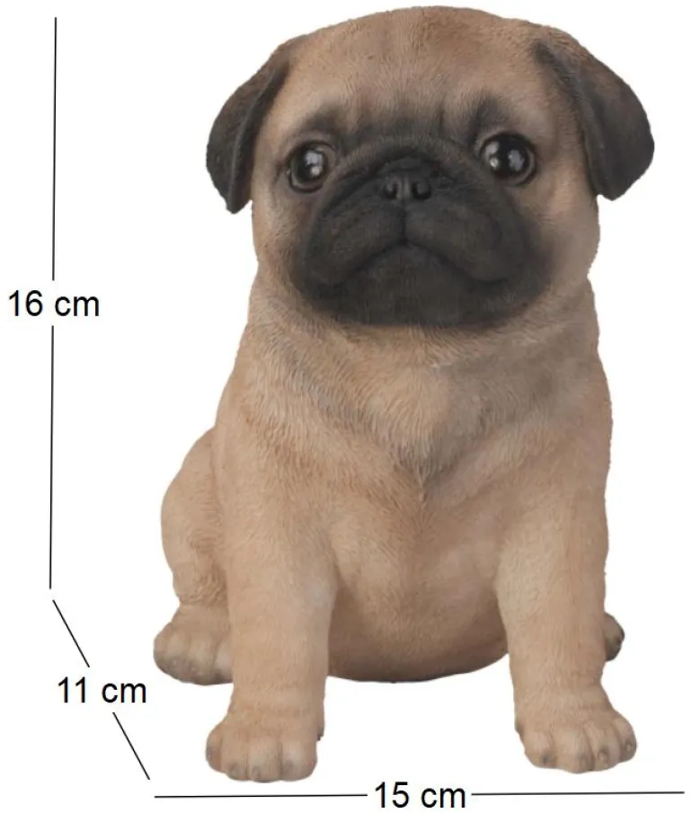 Chiot carlin en résine 16 cm