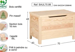 Coffre de rangement en pin 85L