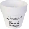 Coffret 3 bougies Nature candles