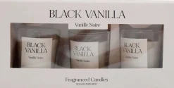 Coffret de 3 bougies avec pots en verre Fragrance (Senteur vanille)