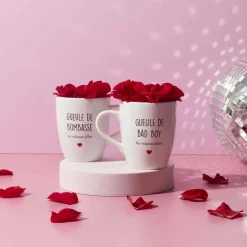 Coffret 2 mugs inscriptions humour