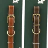 Collier en polyuréthane pour chien (Lot de 2) (L - 53 cm)