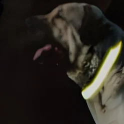 Collier réfléchissant pour chien Snoopy