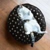 Coussin pour animaux en polyester